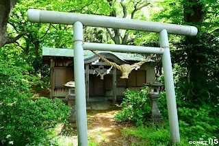 第四個鳥居，路線在神社後面
(但居然是用水管做的)
