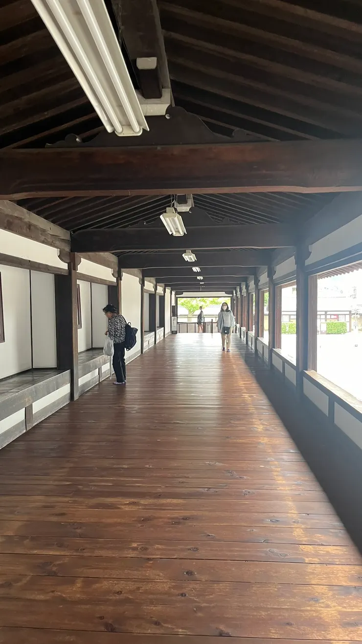 有興致就能停下欣賞。