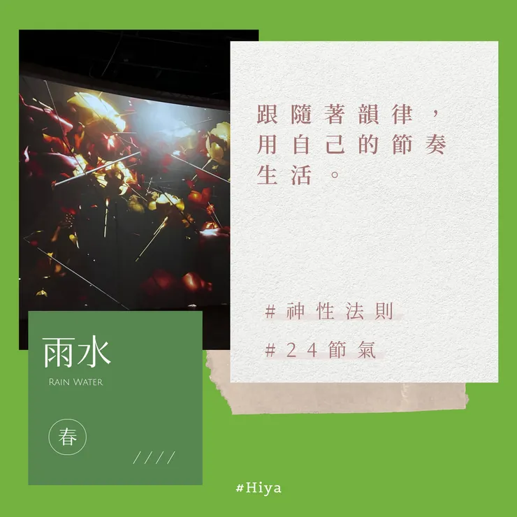 雨水 Rain Water  2024/02/19