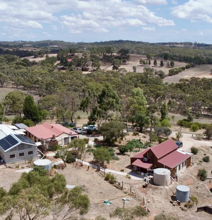 photo from:https://ujjala.dhamma.org/