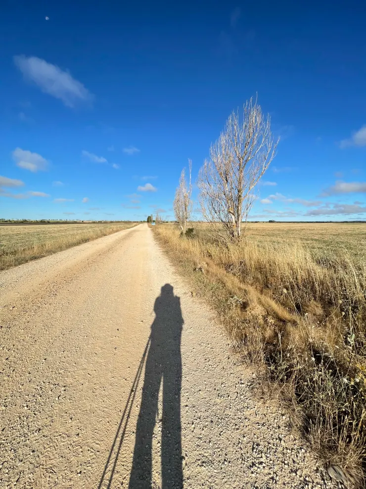 陽光拉長的身影,與前方仍高掛指引的月亮。現在看見照片,還是覺得美麗異常。