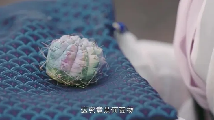 取自2019年版倚天屠龍記