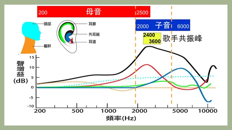 各頻率在聽眾耳裡的聲量增益,以2000~5000Hz增益最為明顯