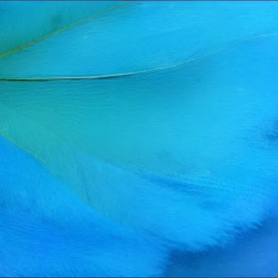 ＊使用AI技術生成的封面相片＊