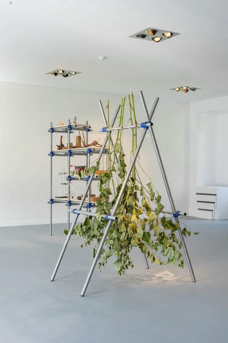 REPAIRING THE WORLD / ph: CAROLINE DETHIER