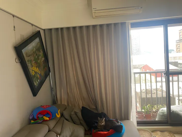 還好畫是綁得夠牢固，貓也沒事。