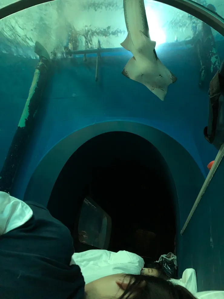 夜宿的回憶是一輩子都說不完的