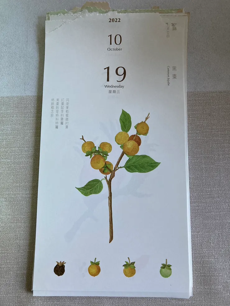 彩色手繪圖非常精美！