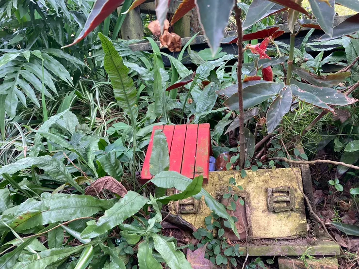 可愛的小房子造型盆栽