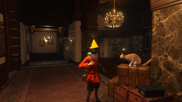 想嚕貓結果被哈氣