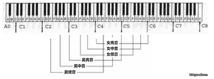（圖片來源：音高）