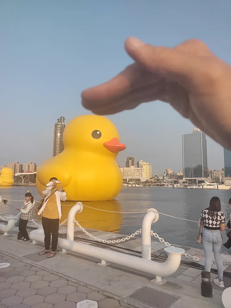 摸摸黃色小鴨