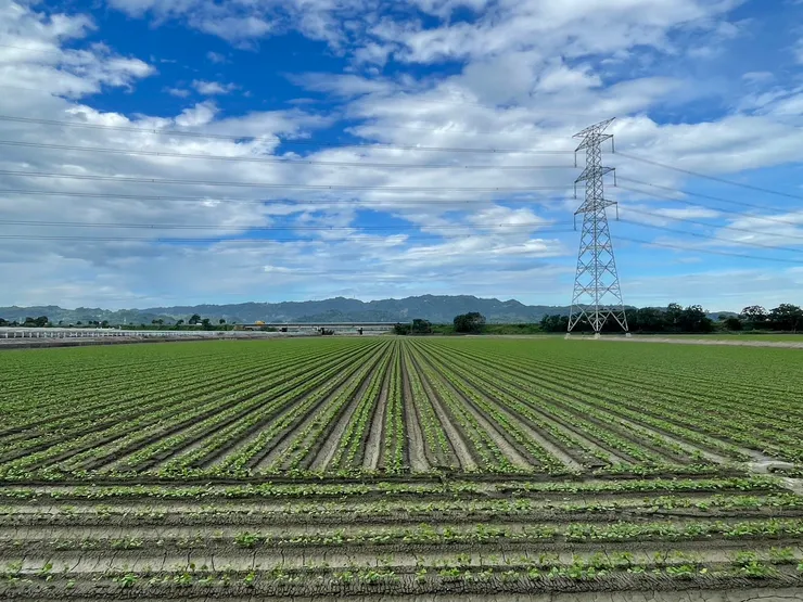 日子，原來也可以這樣。shot by Emma @ Ligang, Pintung .25 / 10 /2024.