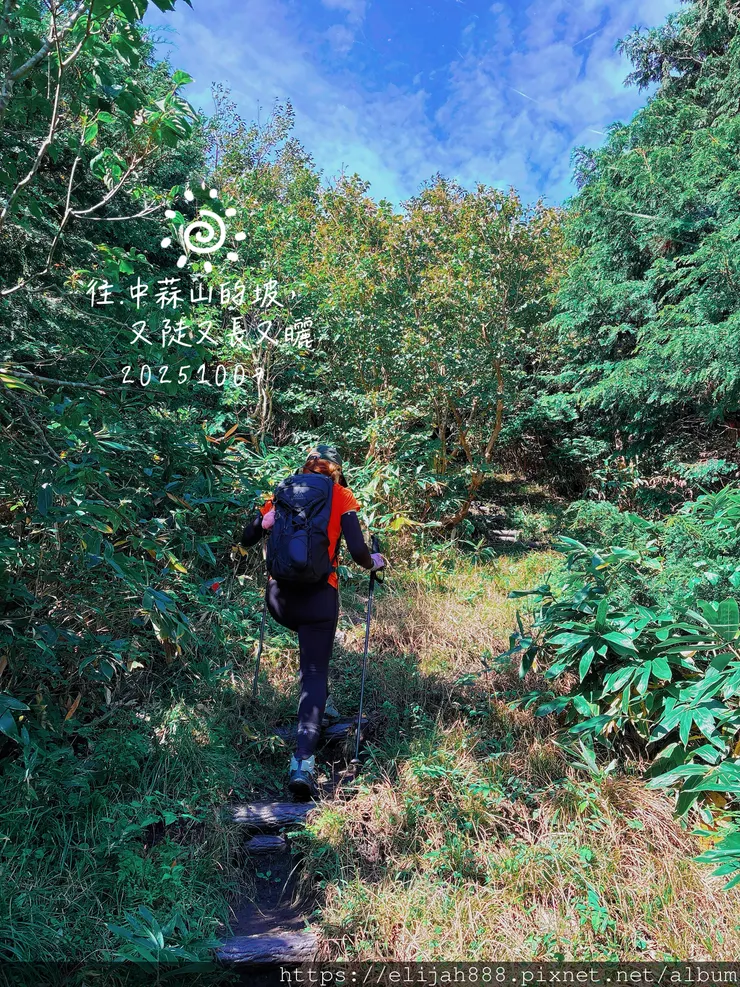 【2025初秋.岡山県真庭市】蒜山三座縱走/下蒜山(海拔11