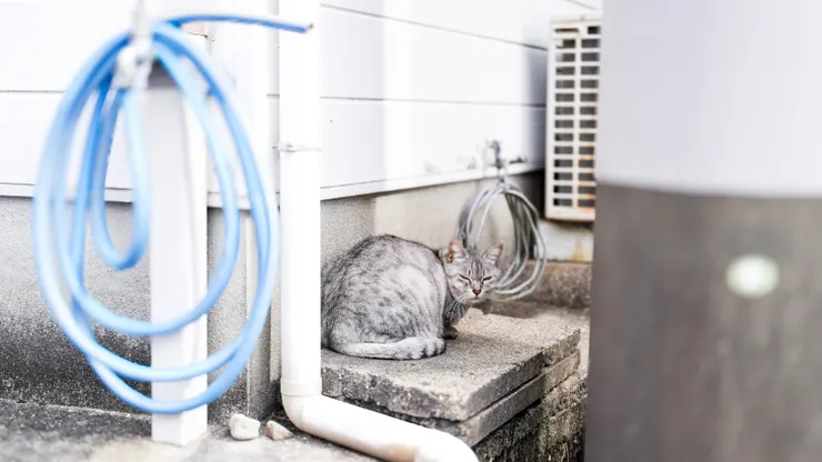 表情怎麼了啦笑