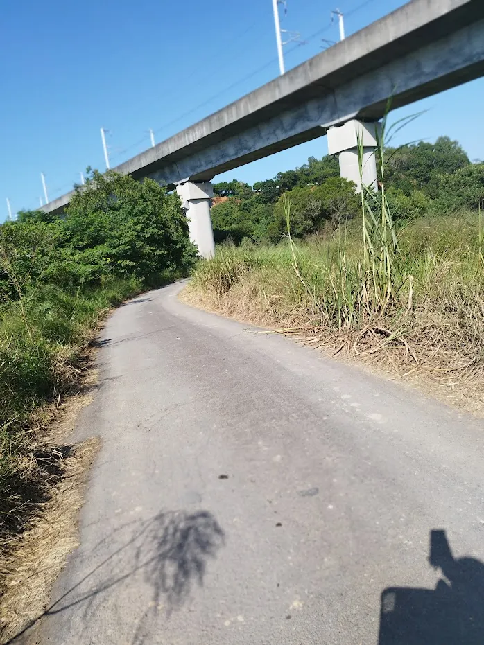 上方為高鐵 橋下可觀看高鐵密集的班車而過 河童拍攝/2023年