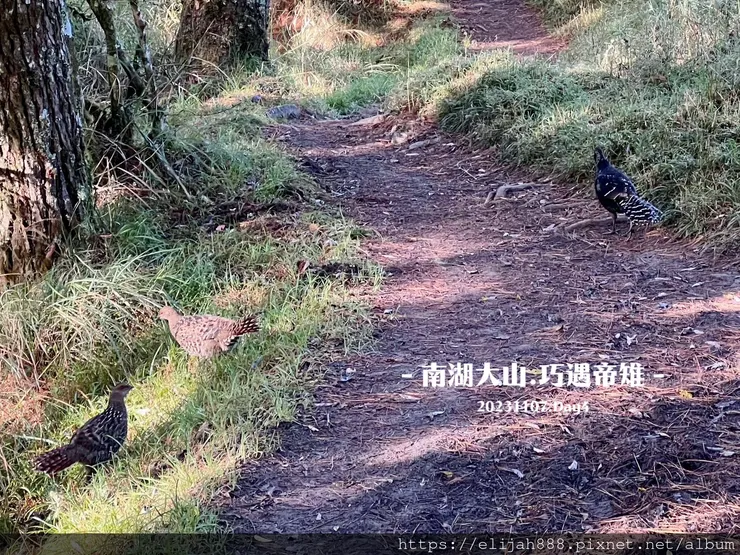 【帝王之山4天3夜】南湖大山之多加屯山/方便屋洗漱/最終日/
