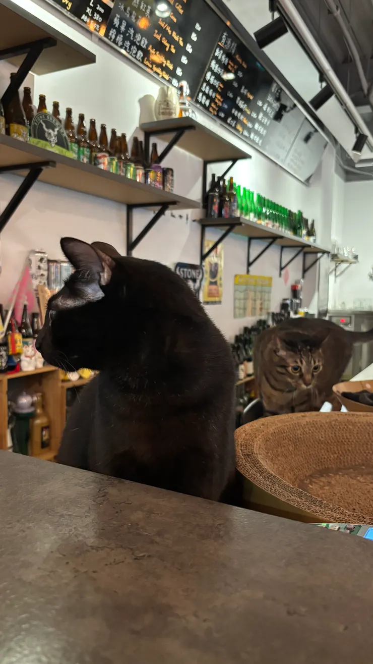 鶴屋咖啡 Zuruya Cafe｜櫃台最棒