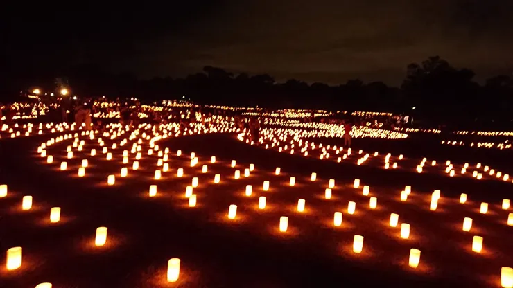 奈良燈花會(草坪)