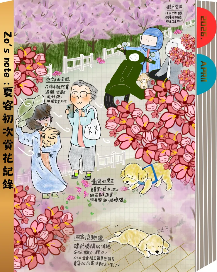 202604夏容春日賞花