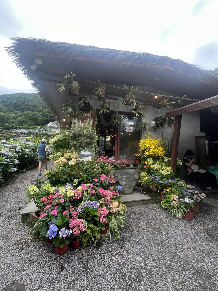 曹家花田香:花卉小屋