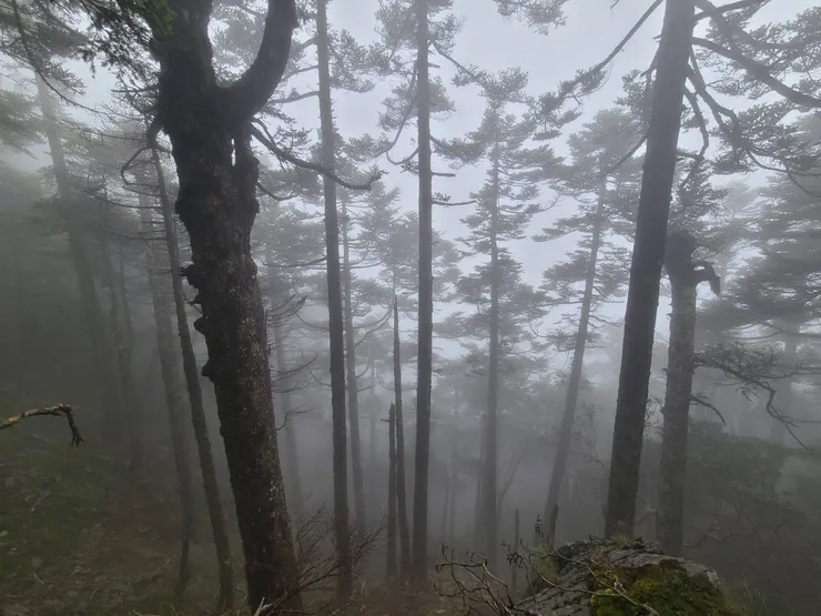 大概下午2點左右，開始有濃霧。中午開始是雲層很厚，但好在都沒下雨
