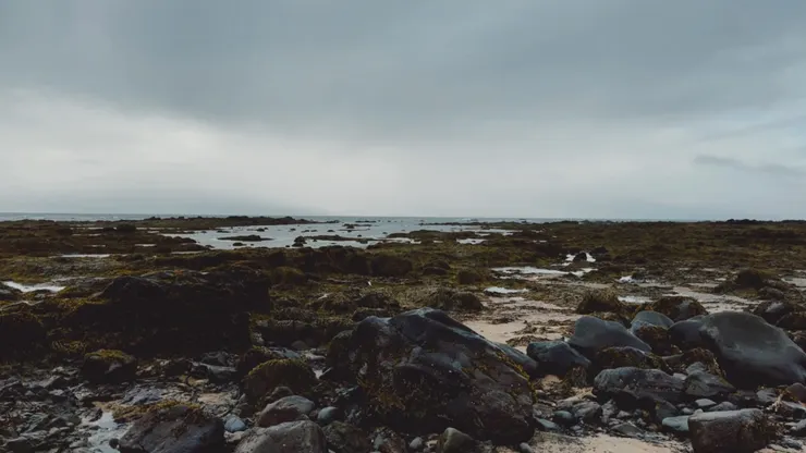 太冷沒拍圖,隨便放一張海邊照。