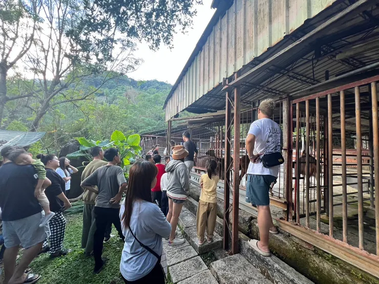 營主解說鹿的習性