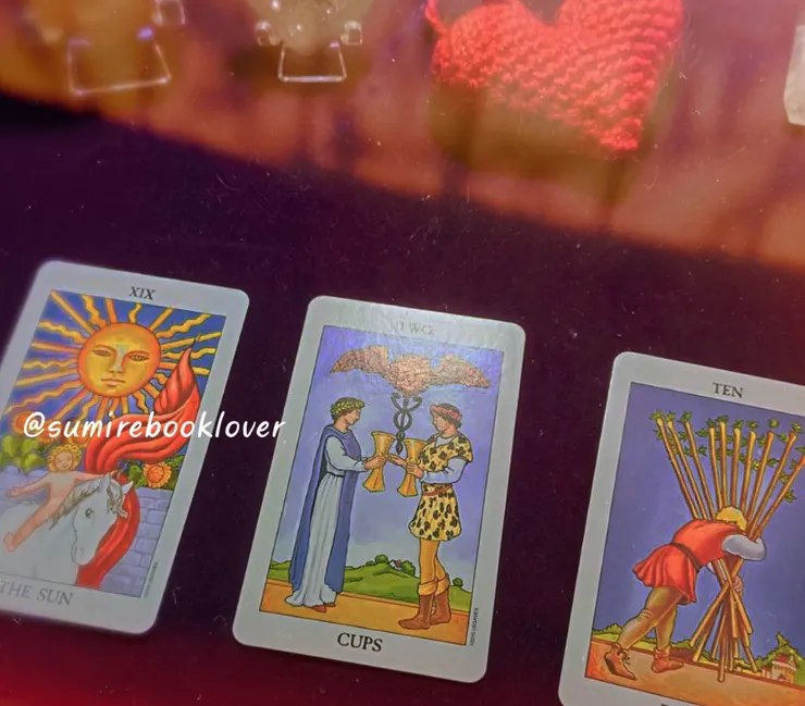 @sumirebooklover