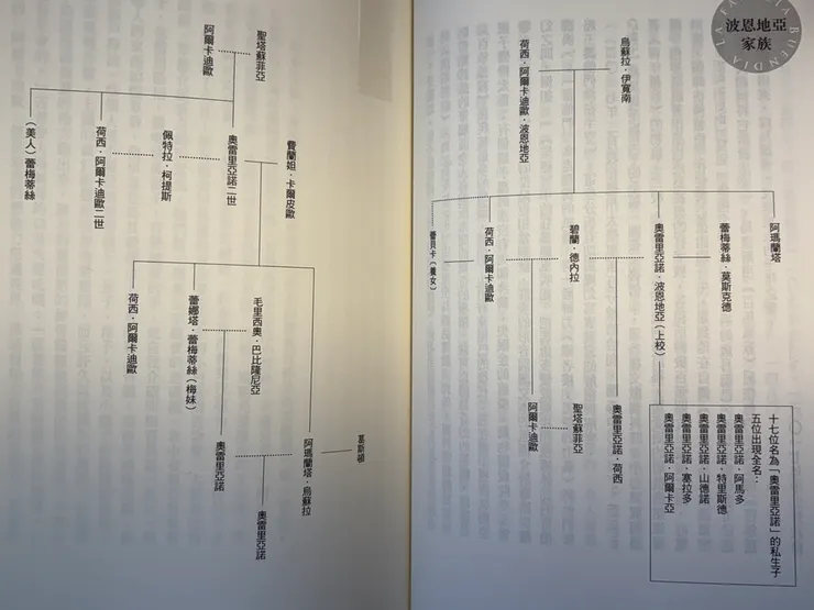 波恩地亞家族人物關係表