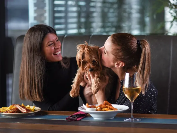 寵物友善餐廳台北