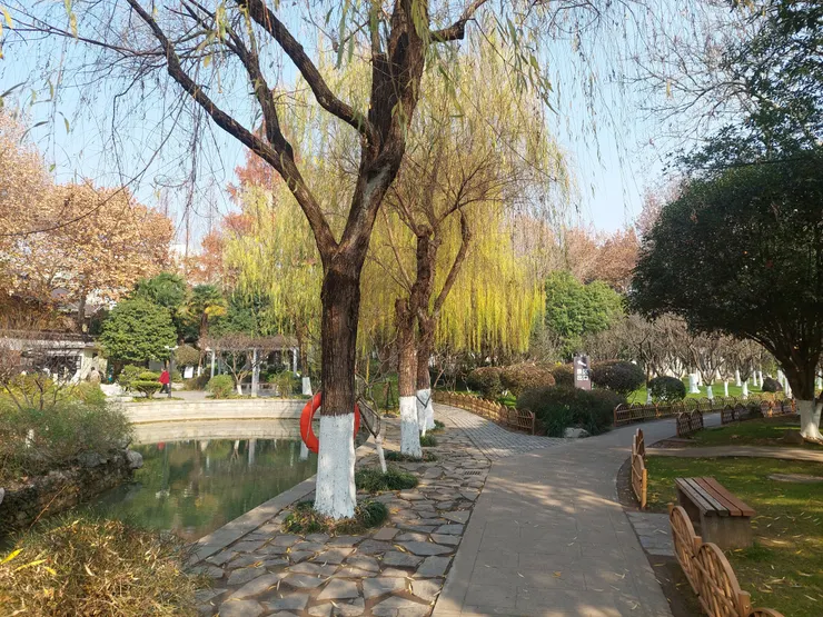 總統府博愛湖的園林景觀