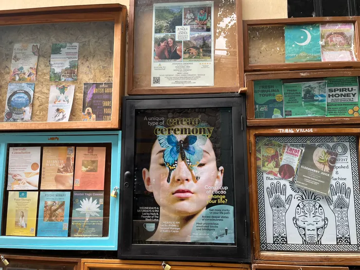 各種課程資訊,不知道是不是去了可可儀式可以讓人破繭成蝶