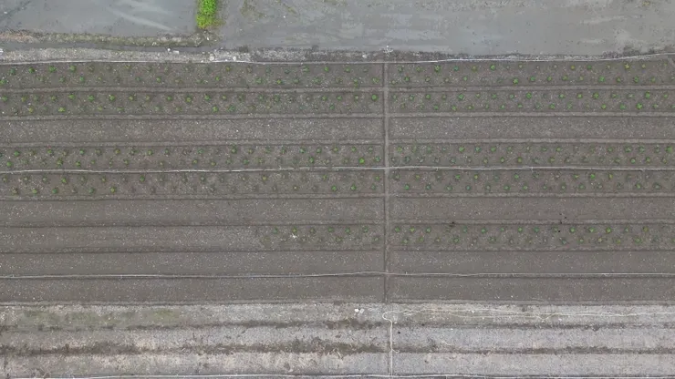 預留車道，讓農務更輕鬆