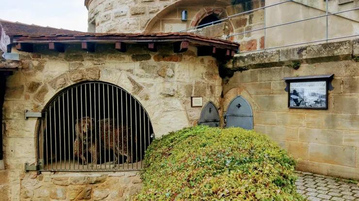 曾關過熊的「熊籠」