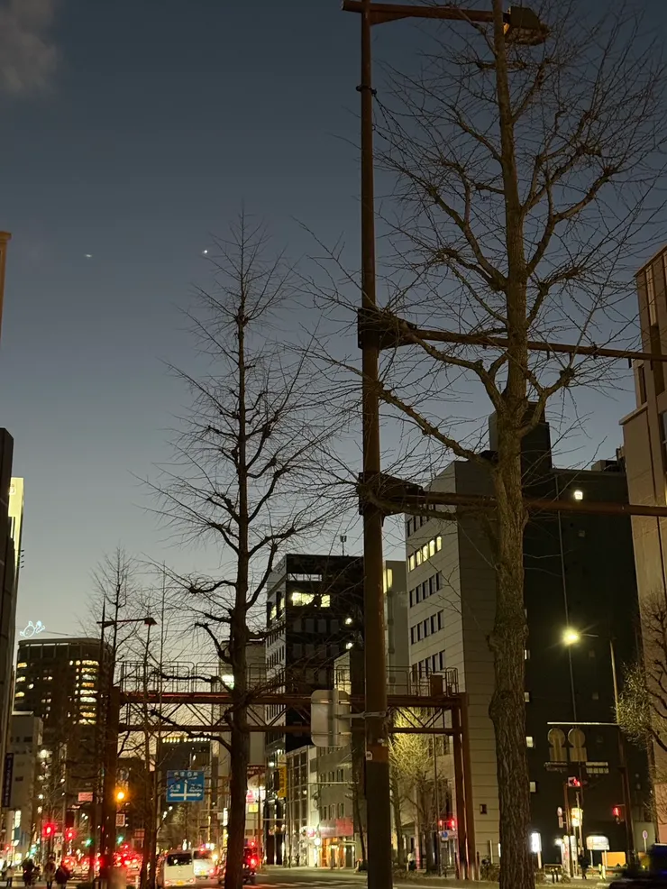 覺得這個配色與圖案,好像拿來做成裙擺的印花很不錯。