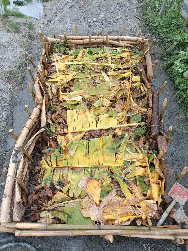 2026/2/24 B60和諧共生