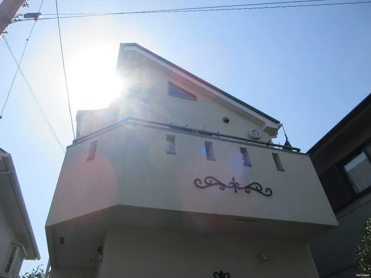 可惜,2025年貓咪沒有探頭出來