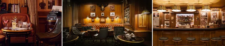  The Hemingway Bar at the Ritz Hotel in Paris