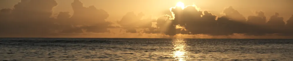 沐浴於曙光之下