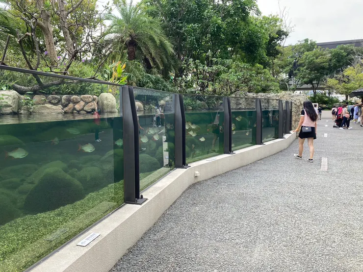 這裡可以看到室外巨大魚缸!好特別!