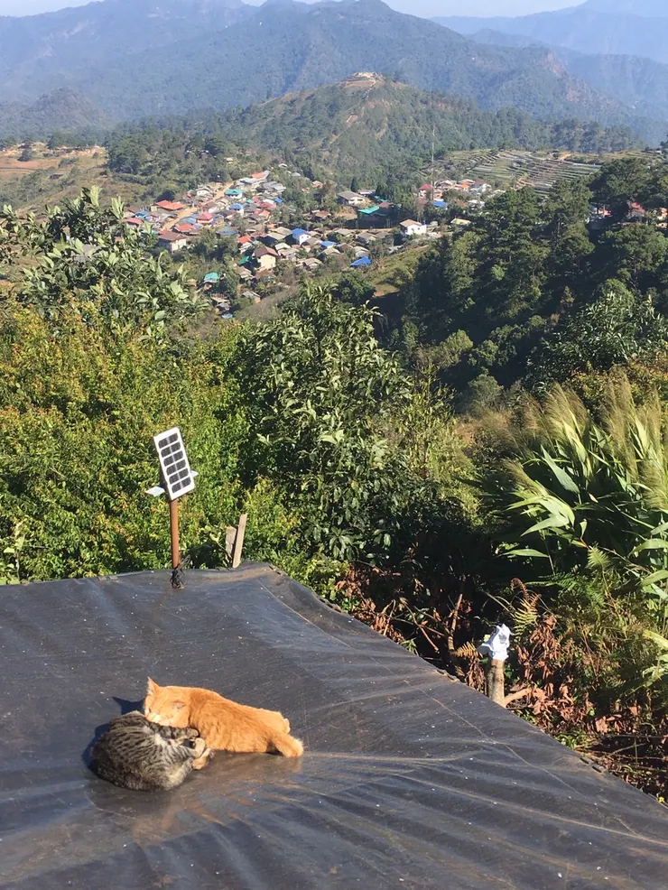 這是一間位於泰國與緬甸交界處的咖啡廳,一次可以看到兩個國家。(父親拍攝)