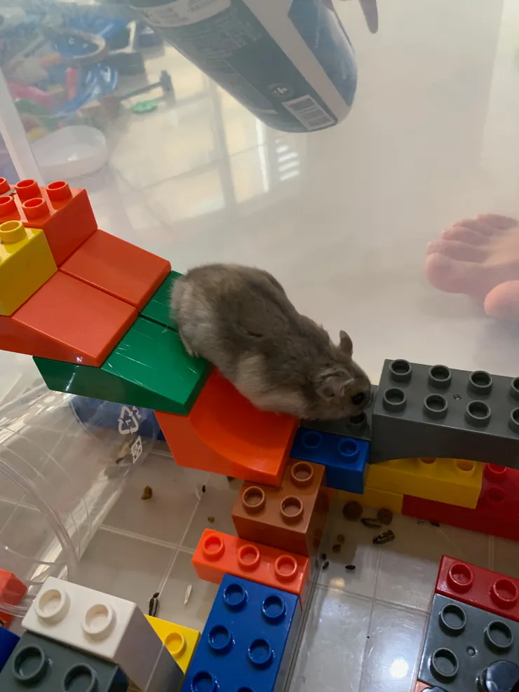 吃完下樓，看我多輕巧。