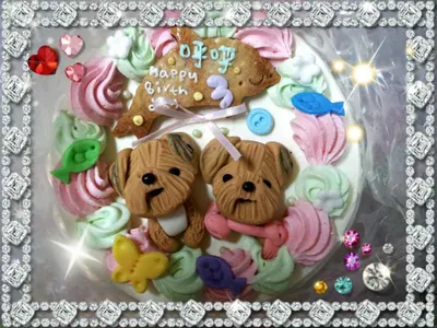 安慰失去愛犬的人，「過去的都會過去」