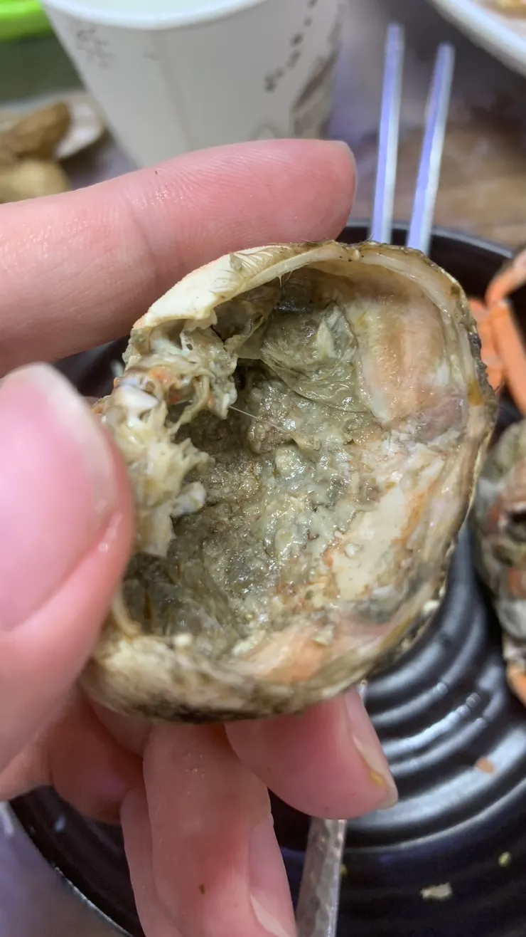 深藏不漏的螃蟹。