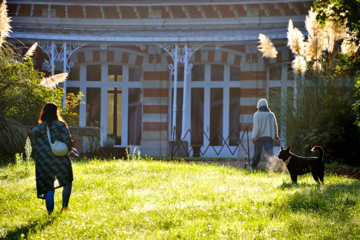 【老婆唸她的Hare Krishna、怡青遛她的狗。】