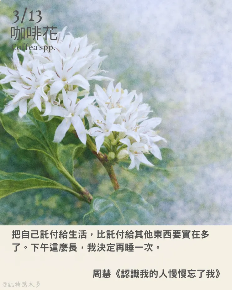 3 月 13 日｜咖啡花×周慧《認識我的人慢慢忘了我》