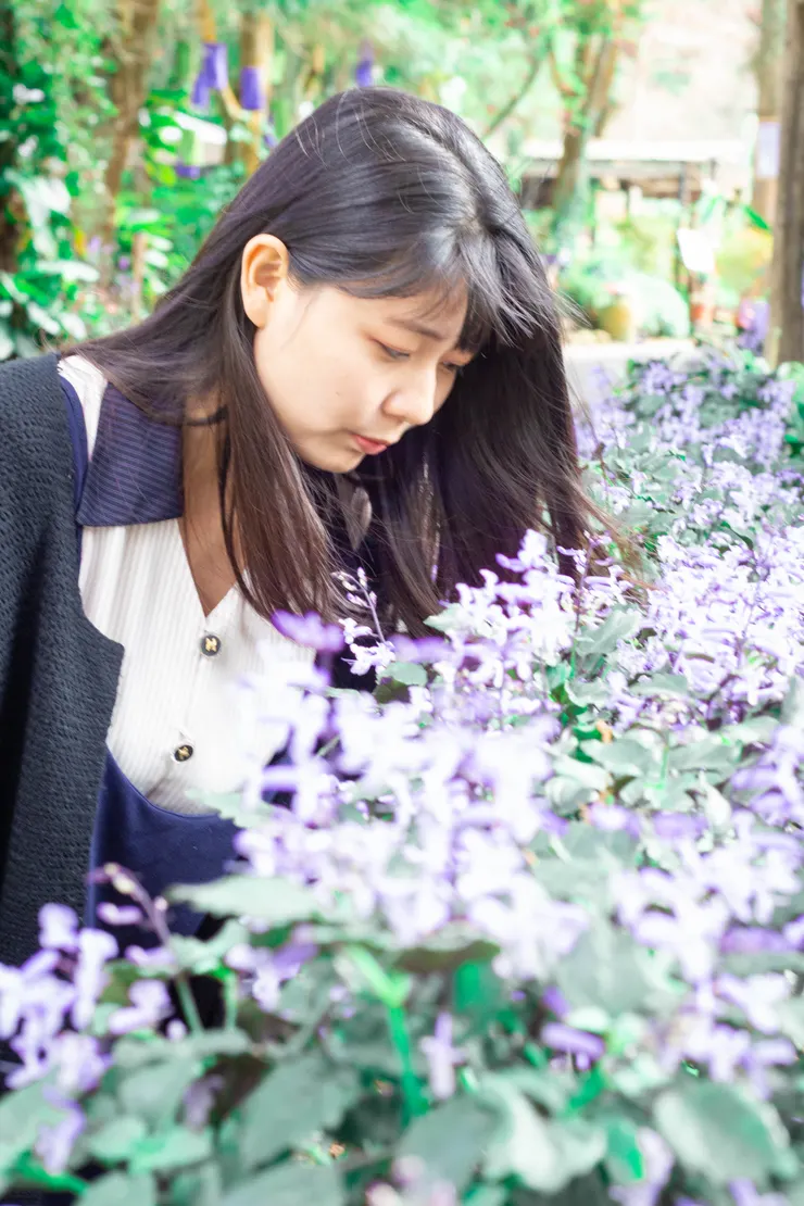 這一篇當然是要放薰衣草森林台中園區啦！