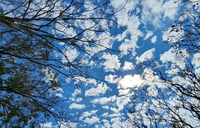 木子小姐的沙龍