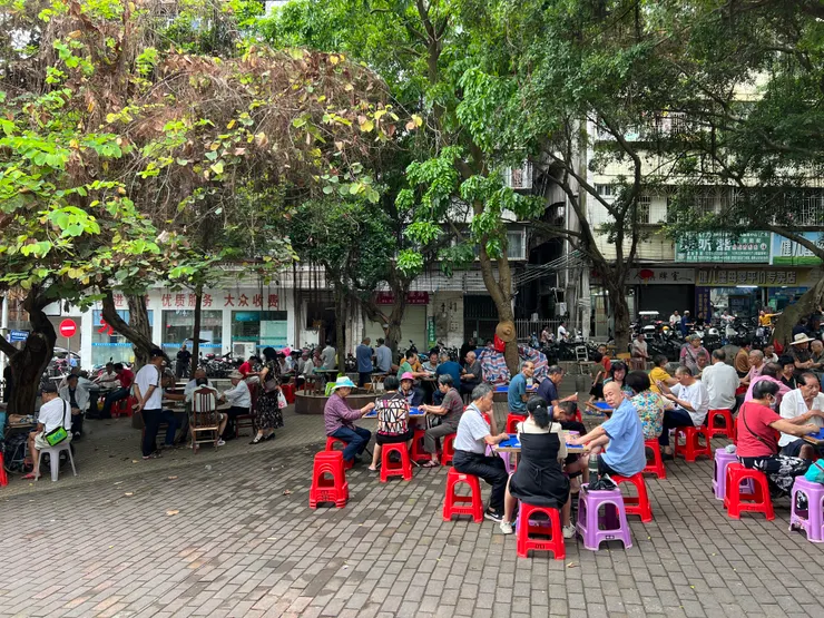 湛江下午的公園，許多老人家在樹下打牌閒聊